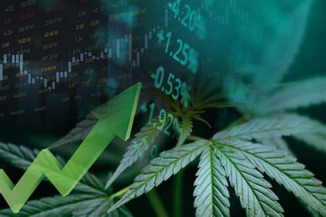 acb predictions|Aurora Cannabis (ACB) Stock Price, News & Analysis .
